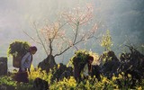 Di sản văn hóa Việt Nam tuyệt đẹp qua những bức ảnh 
