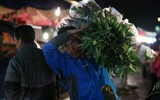 Xuyên đêm lạnh, tiểu thương chợ hoa Quảng Bá mưu sinh