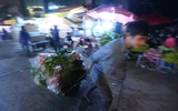 Xuyên đêm lạnh, tiểu thương chợ hoa Quảng Bá mưu sinh