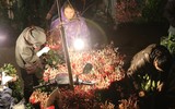 Xuyên đêm lạnh, tiểu thương chợ hoa Quảng Bá mưu sinh