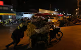 Xuyên đêm lạnh, tiểu thương chợ hoa Quảng Bá mưu sinh