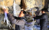 Không khí Giáng sinh ngập tràn Hà Nội