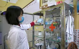 Đánh giá thi đua trong mỗi lớp học qua công tác phòng, chống dịch Covid-19