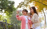 Check in con đường đẹp như phim Hàn ở Hà Nội 