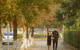 Check in con đường đẹp như phim Hàn ở Hà Nội 