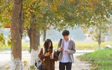 Check in con đường đẹp như phim Hàn ở Hà Nội 