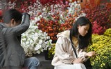 Hàng Mã ngập tràn không khí Tết, giới trẻ Hà thành đua nhau check in chụp ảnh 
