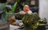 Ngắm bonsai mini giá hàng chục triệu đồng ở Hà Nội