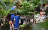 Ngắm bonsai mini giá hàng chục triệu đồng ở Hà Nội