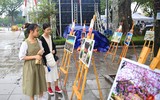 Sôi động lễ hội Du lịch và văn hóa ẩm thực Hà Nội