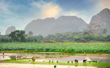 Dịu dàng mùa sen Hà thành