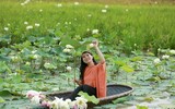 Dịu dàng mùa sen Hà thành