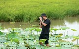 Dịu dàng mùa sen Hà thành