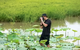 Dịu dàng mùa sen Hà thành