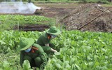 Công an Đắk Lắk góp sức hướng về tâm dịch phía Nam 