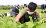 Công an Đắk Lắk góp sức hướng về tâm dịch phía Nam 