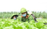 Công an Đắk Lắk góp sức hướng về tâm dịch phía Nam 