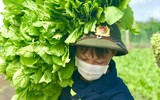 Công an Đắk Lắk góp sức hướng về tâm dịch phía Nam 