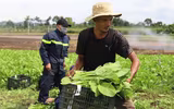 Công an Đắk Lắk góp sức hướng về tâm dịch phía Nam 