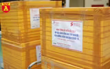 Chi viện gần 1.000 đơn vị máu tiếp sức đồng bào Tây Nam Bộ chống dịch Covid-19