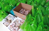 “Giải cứu” những sinh viên mắc kẹt khó khăn do dịch Covid-19