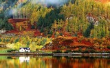 Khám phá xử sở mộng mơ tại Scotland