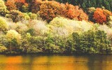 Khám phá xử sở mộng mơ tại Scotland