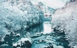 Khám phá xử sở mộng mơ tại Scotland