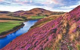 Khám phá xử sở mộng mơ tại Scotland