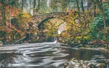 Khám phá xử sở mộng mơ tại Scotland