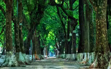 Hà Nội – Âm thanh của sự tĩnh lặng