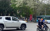 Ngắm hoa sưa nở trắng phố phường Hà Nội