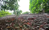 Khám phá kiến trúc độc đáo ở ngôi chùa cổ xứ Đoài