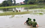 Áo xanh - cầu vai đỏ ngâm mình trong biển nước, cứu lúa giúp người dân