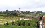 Áo xanh - cầu vai đỏ ngâm mình trong biển nước, cứu lúa giúp người dân