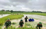Áo xanh - cầu vai đỏ ngâm mình trong biển nước, cứu lúa giúp người dân