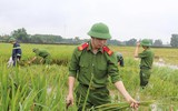 Áo xanh - cầu vai đỏ ngâm mình trong biển nước, cứu lúa giúp người dân