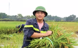 Áo xanh - cầu vai đỏ ngâm mình trong biển nước, cứu lúa giúp người dân