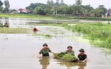 Áo xanh - cầu vai đỏ ngâm mình trong biển nước, cứu lúa giúp người dân