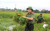 Áo xanh - cầu vai đỏ ngâm mình trong biển nước, cứu lúa giúp người dân