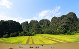 Ngắm cờ hội 