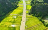 Ngắm cờ hội 
