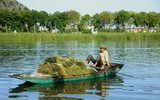 Ngắm cờ hội 