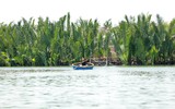 Trải nghiệm rừng dừa trên thuyền thúng ở Hội An 