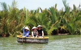 Trải nghiệm rừng dừa trên thuyền thúng ở Hội An 