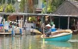 Trải nghiệm rừng dừa trên thuyền thúng ở Hội An 