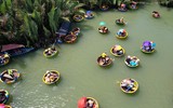 Trải nghiệm rừng dừa trên thuyền thúng ở Hội An 