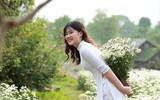 Vườn hoa cúc họa mi rộng hơn 2.000m2 khoe sắc ở Hà Nội