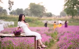 Giới trẻ Hà Nội háo hức với cánh đồng cúc bách nhật