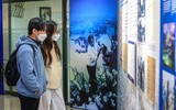 12 ngày đêm rực lửa của 